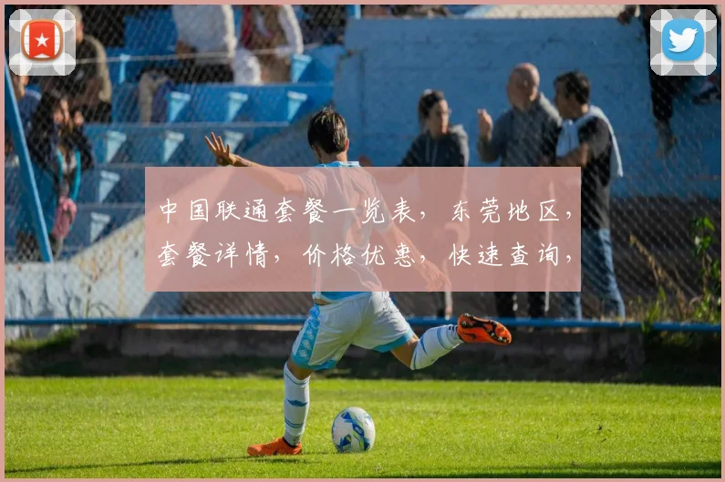 中国联通套餐一览表，东莞地区，套餐详情，价格优惠，快速查询，三网通选