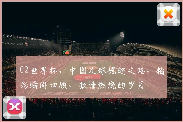 02世界杯，中国足球崛起之路，精彩瞬间回顾，激情燃烧的岁月