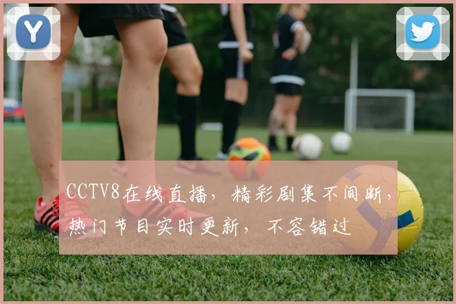 CCTV8在线直播，精彩剧集不间断，热门节目实时更新，不容错过
