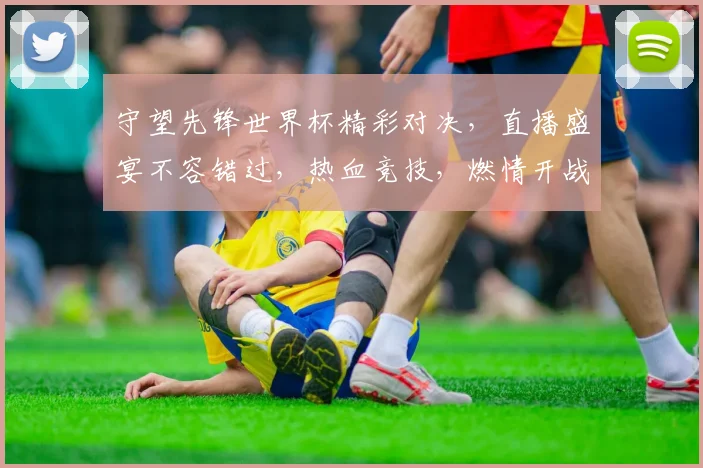 守望先锋世界杯精彩对决，直播盛宴不容错过，热血竞技，燃情开战，敬请期待