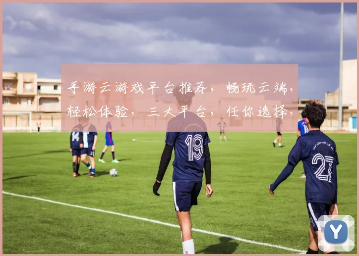 手游云游戏平台推荐，畅玩云端，轻松体验，三大平台，任你选择，一触即达
